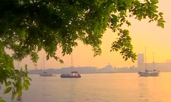 international marina-cochin