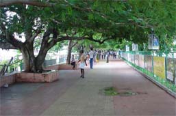 marine drive walkway in ernakulam