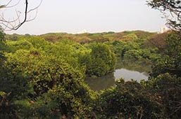 mangalavanam ernakulam