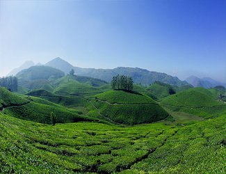 munnar hills